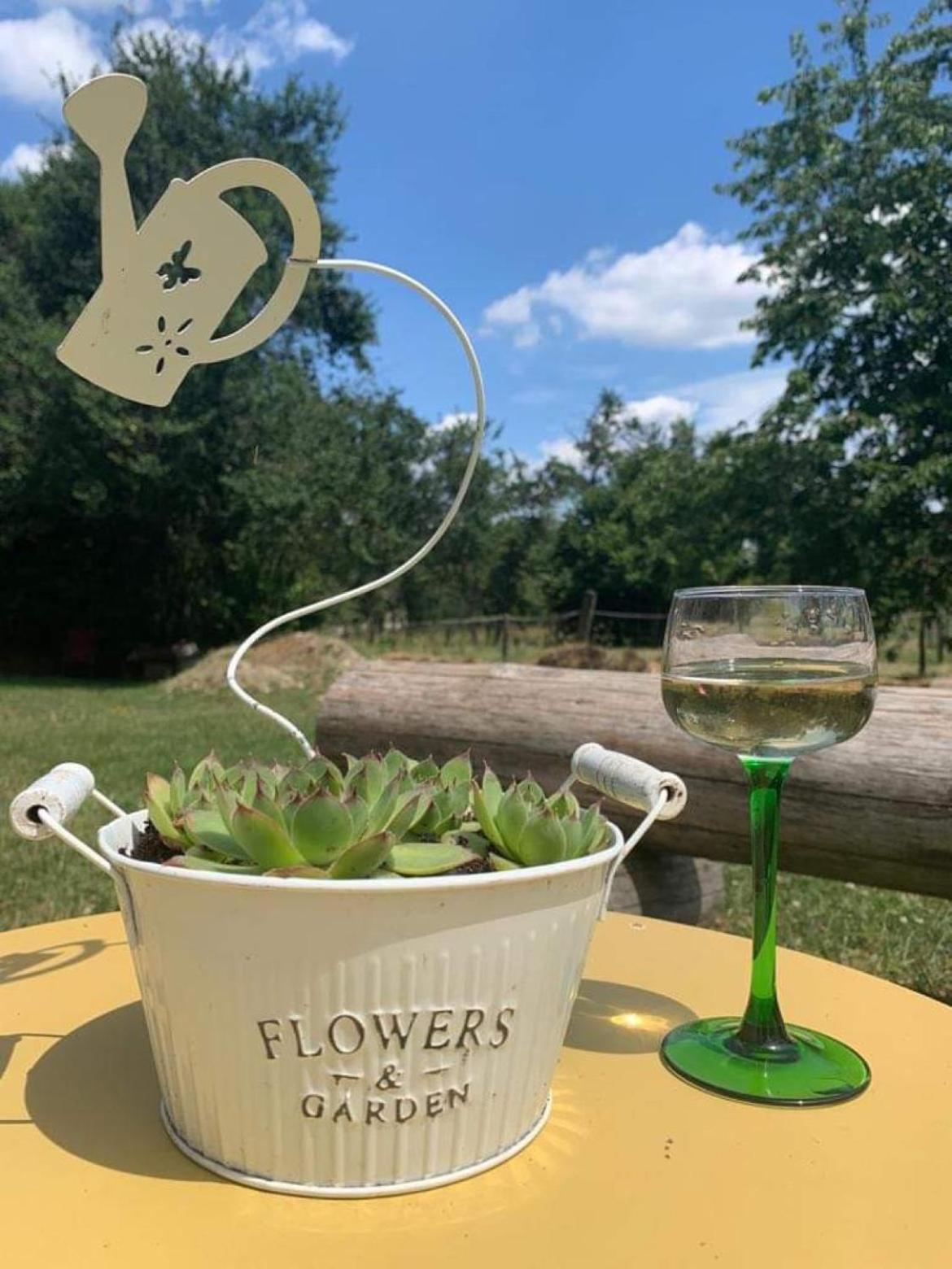 Maison D Hotes Spa Pivoine Et Colibri Domfessel Kültér fotó